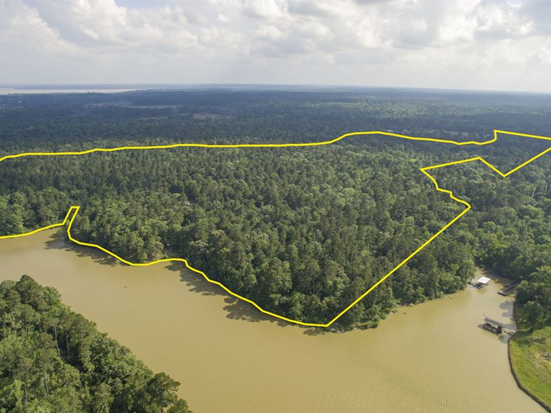 99 Acres FM 980, Ranch for Sale in Texas, 200138 RANCHFLIP