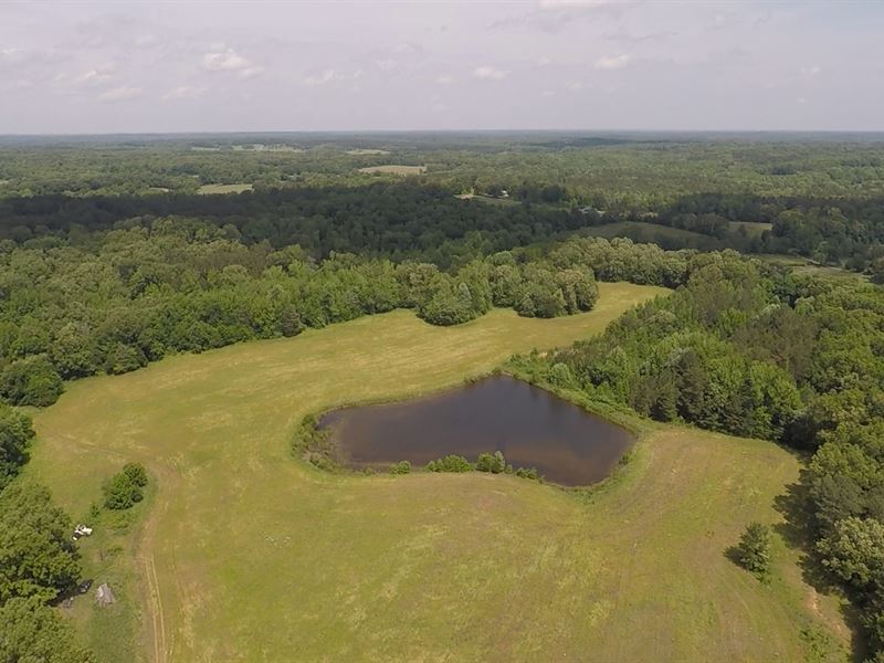 Sportsman's Paradise : Hollow Rock : Carroll County : Tennessee