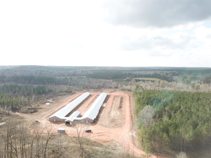 Langham Road Poultry Farm 89+/- Ac : Repton : Conecuh County : Alabama