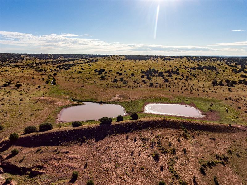 Scenic New Mexico Ranch Land 160 : Stanley : Santa Fe County : New Mexico