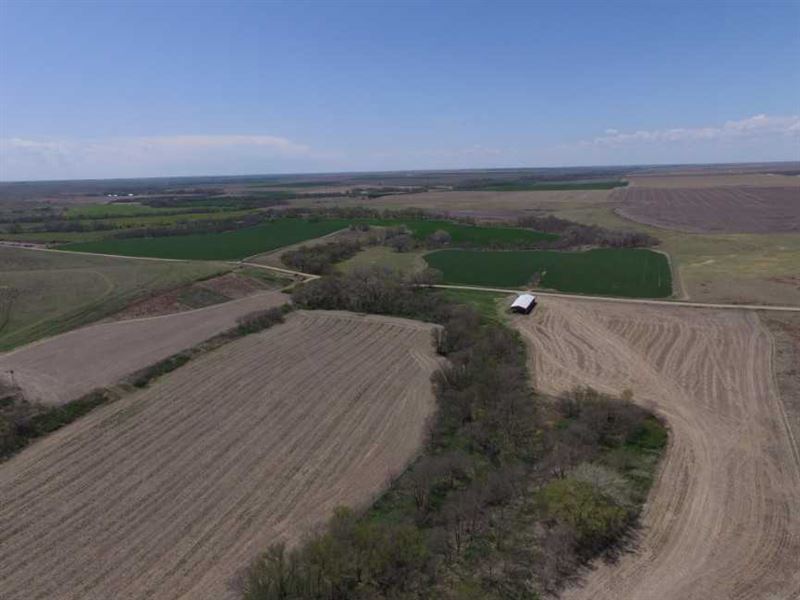 150 Acres of Excellent Mule DE : Atwood : Rawlins County : Kansas