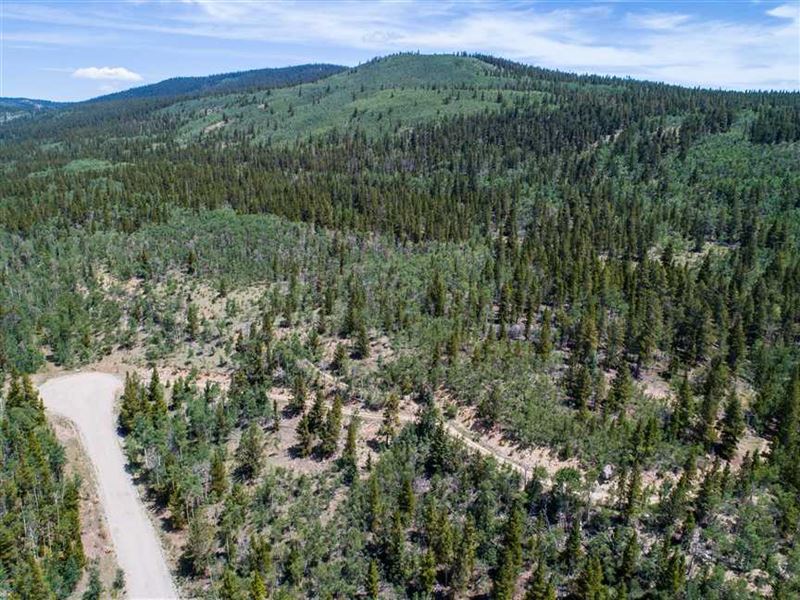 Price Reduced To Sell, 10.49 Acre : Alma : Park County : Colorado
