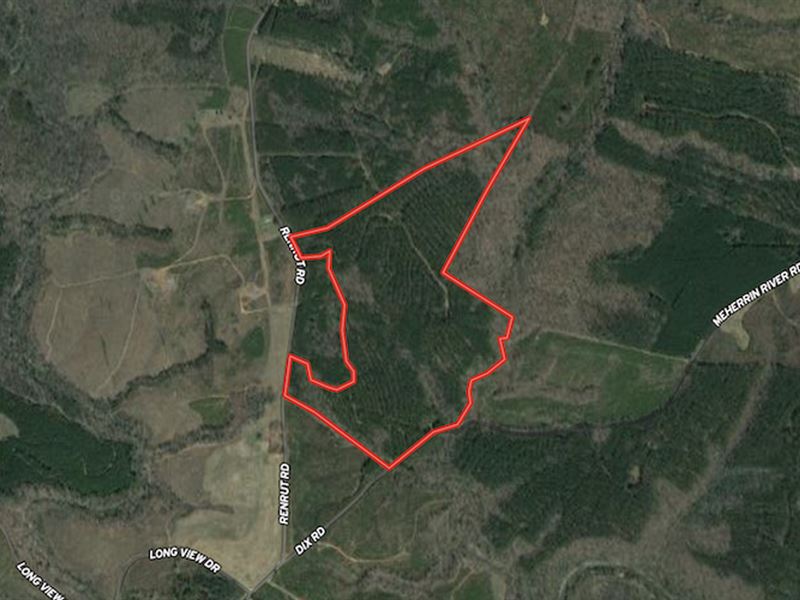 87 Acres of Hunti : Lunenburg : Lunenburg County : Virginia