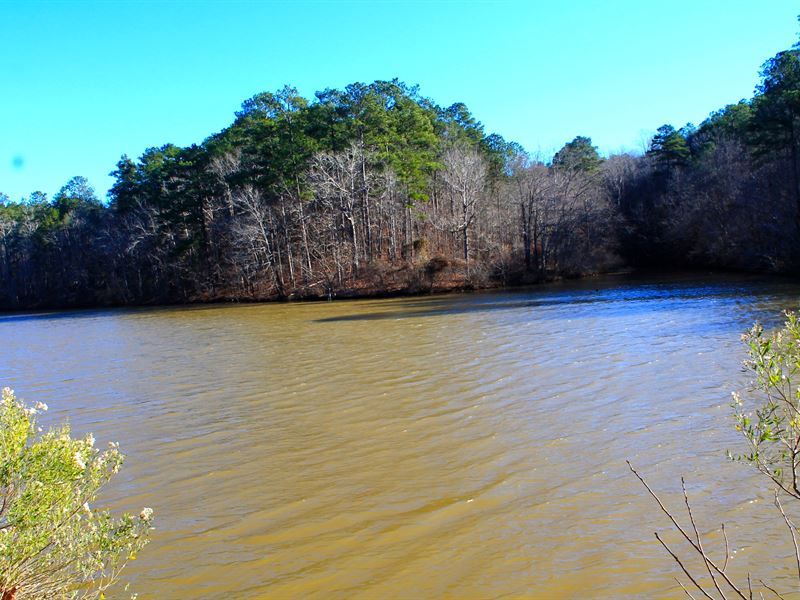 Incredible Lay Lake Frontage : Shelby : Shelby County : Alabama