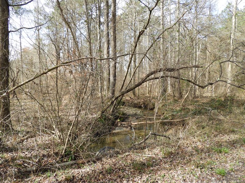 Hutcheson Ferry West 1044-F : Whitesburg : Carroll County : Georgia