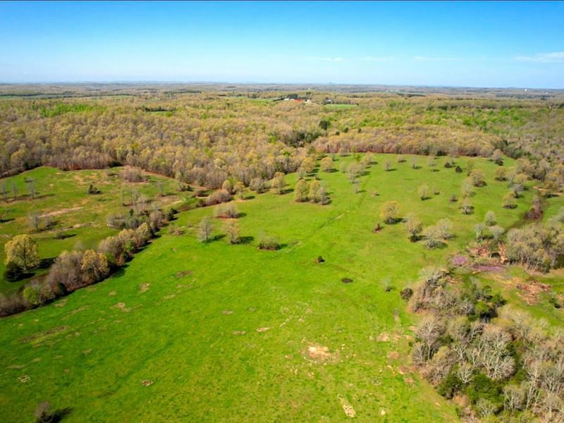 160 Acres, Pasture, Woods, Pond : Franklin : Izard County : Arkansas