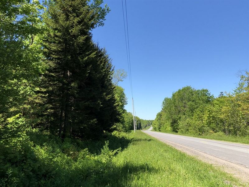 West Leyden Home Or Camp Spot : West Turin : Lewis County : New York