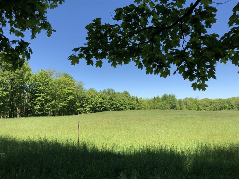 West Leyden Woods : West Turin : Lewis County : New York