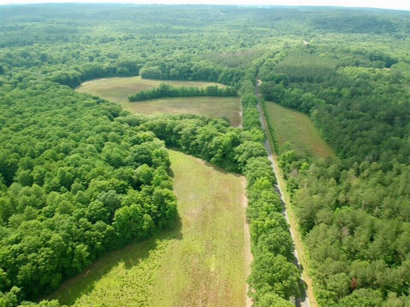 Enzor Property : Luverne : Crenshaw County : Alabama