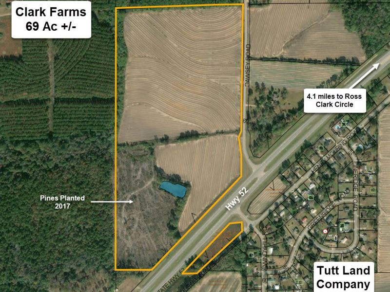 Clark Farms Development Opportunity : Taylor : Houston County : Alabama