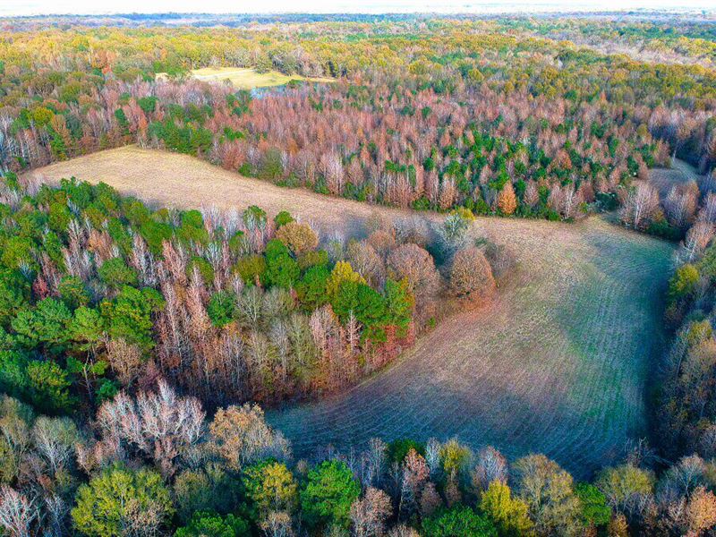 Collett Property : Montgomery : Montgomery County : Alabama