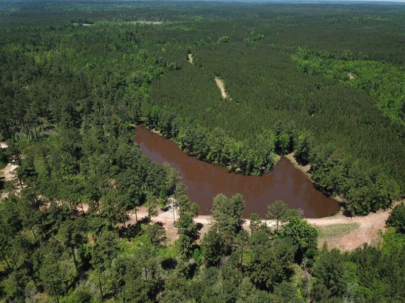 Bashi Tract : Putnam : Marengo County : Alabama
