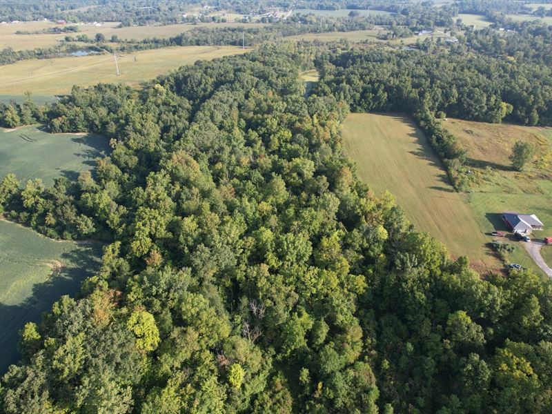 15-Acre Building Site / Hobby Farm : Marion : Grant County : Indiana