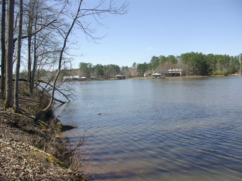 Neely Henry Lake 57 Acres, 1400 Ft : Ashville : Saint Clair County : Alabama