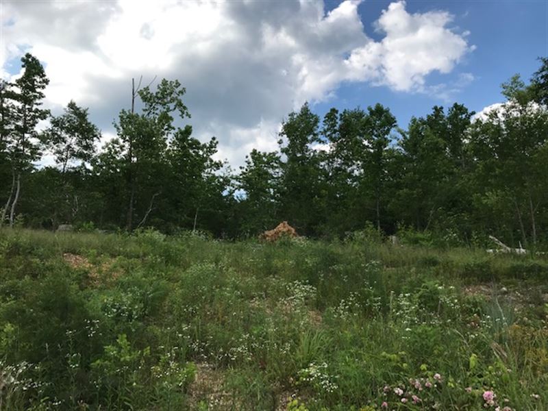 Budget Friendly, Getway Tract : Ashville : Saint Clair County : Alabama