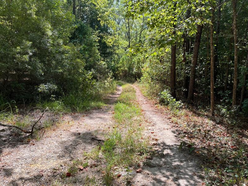 Lenard Tract, Ouachita Parish, 30 : West Monroe : Ouachita Parish : Louisiana