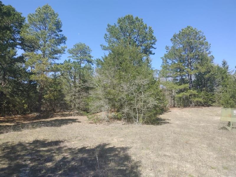 Recreational Honey Hole on Tram Roa : Fort Towson : Choctaw County : Oklahoma
