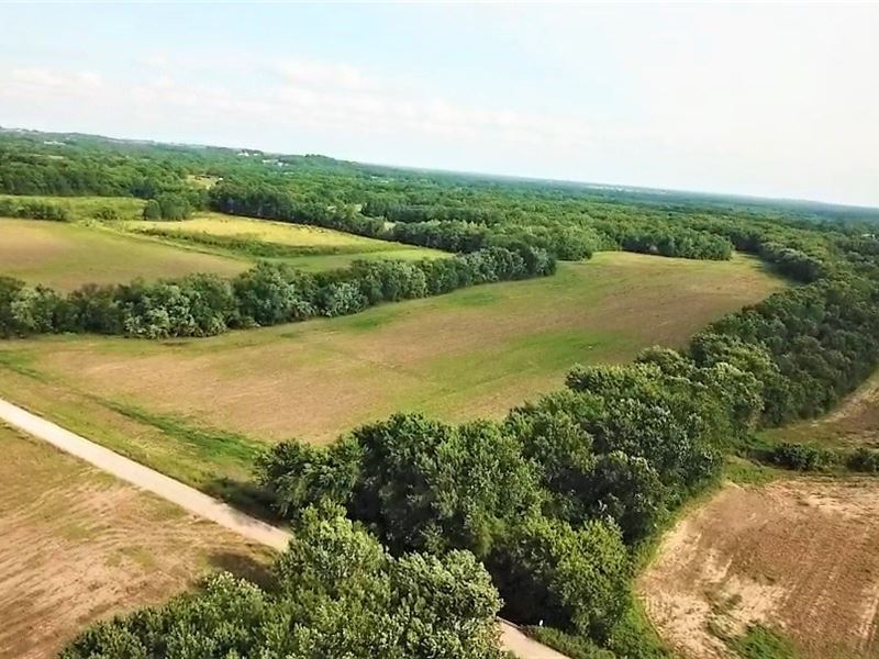 Johnson County, MO Farm Hunting : Knob Noster : Johnson County : Missouri
