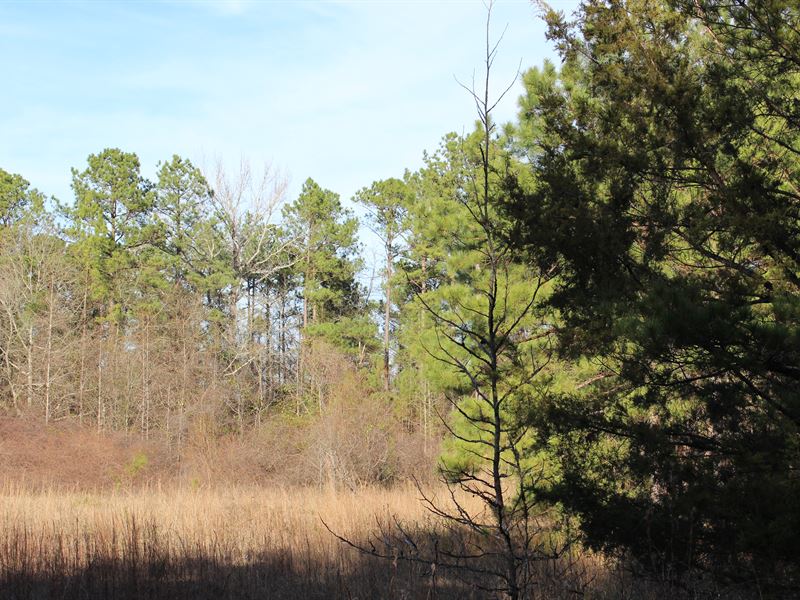 Horse Owners Dream : Franklin : Macon County : Alabama