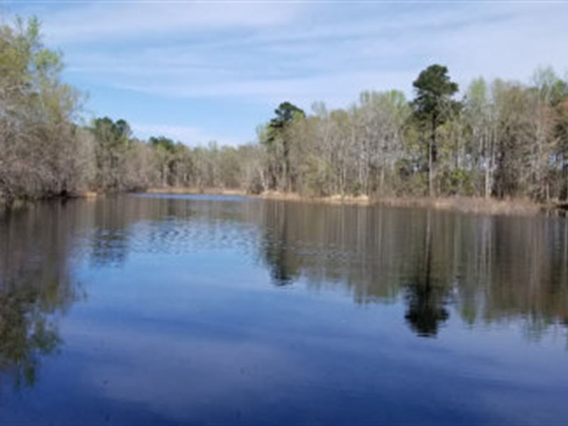 Big Buck Retreat Ranch for Sale in Midville, Burke County,