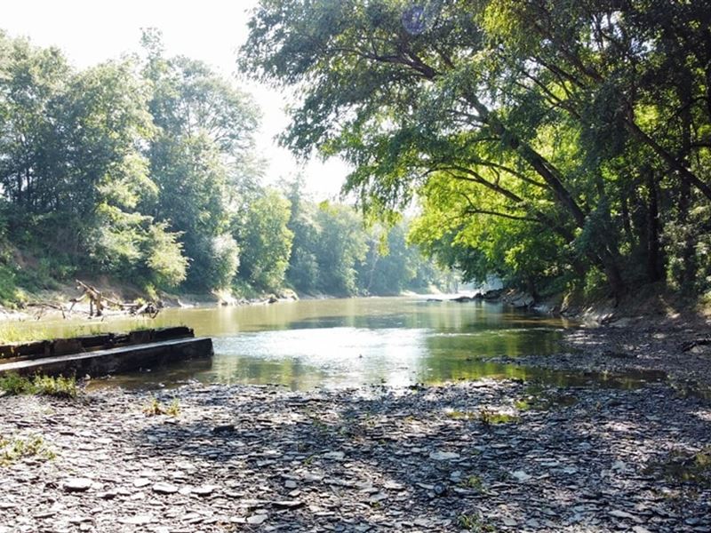 No Business Creek : Empire : Walker County : Alabama