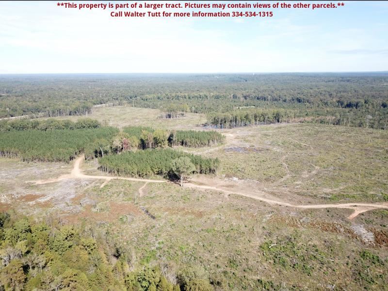 Myrtlewood Tract, Parcel B : Myrtlewood : Marengo County : Alabama