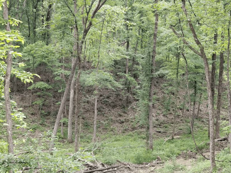 Burnett Mills Road : Oak Hill : Hardeman County : Tennessee