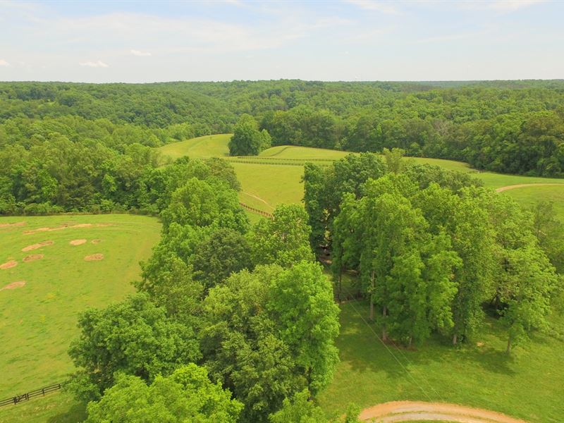 Spectacular Countryside, 146 Acres : Franklin : Williamson County : Tennessee