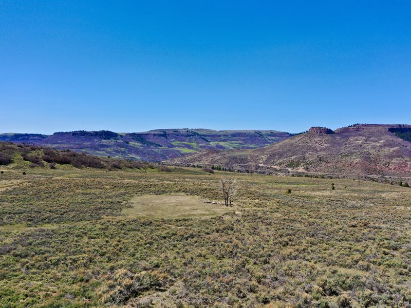 35 Acres Overlooking Blue Mesa Lake : Gunnison : Gunnison County : Colorado