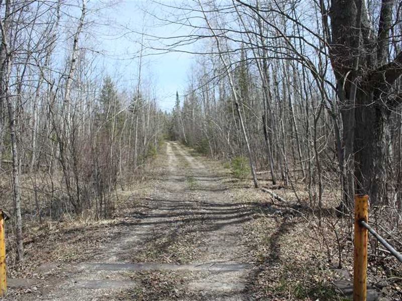 Beautiful 720 Acre Turnkey Hunting, Ranch for Sale in Michigan, 202074