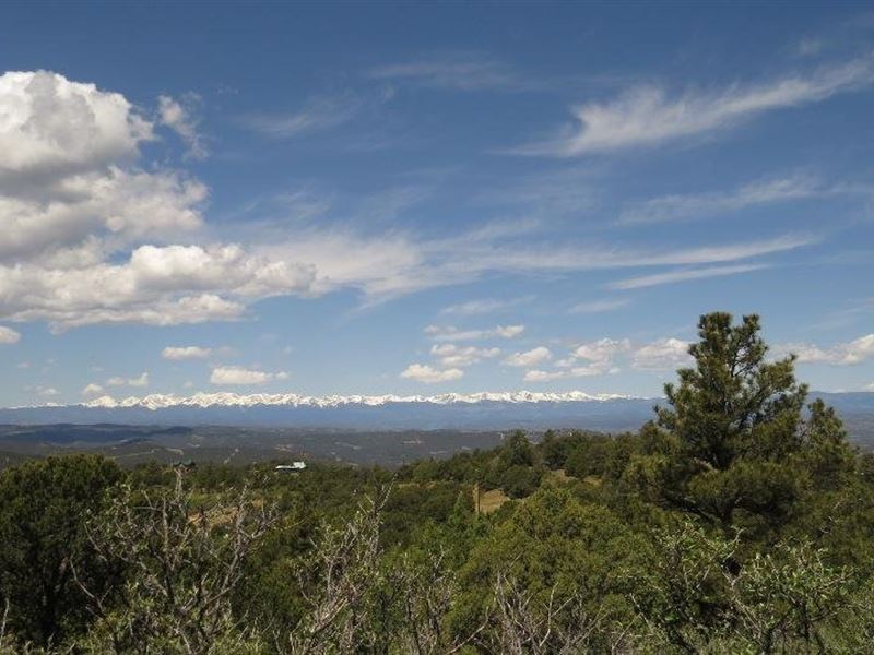 B31 Santa Fe Trail Ranch : Trinidad : Las Animas County : Colorado