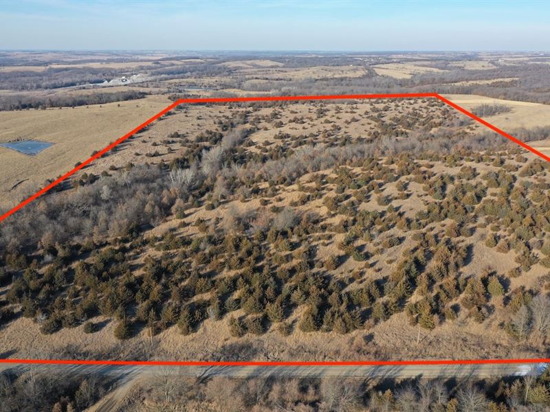 Hunting Property Decatur County : Decatur City : Decatur County : Iowa