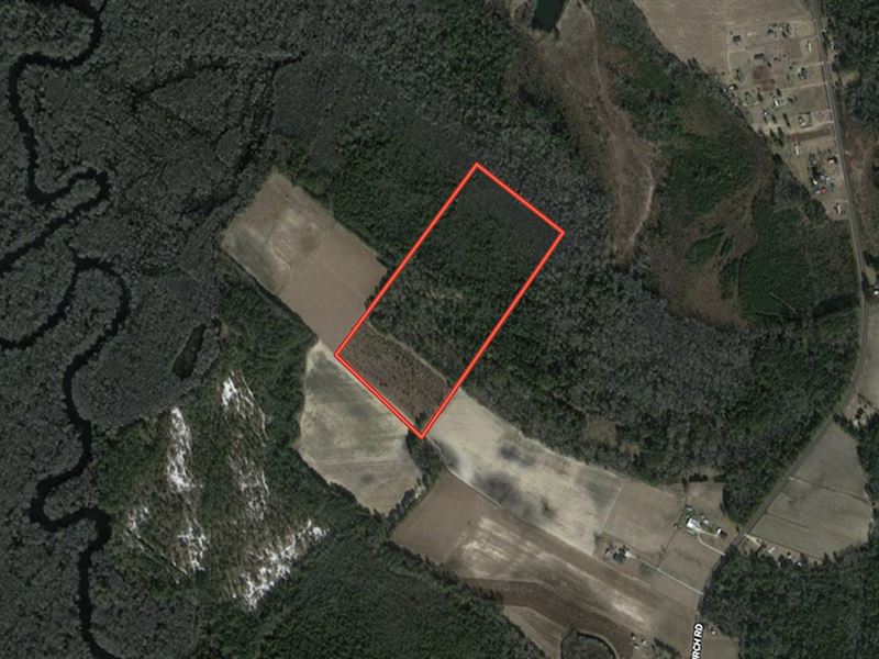 39.7 Acres of Rec : Evergreen : Columbus County : North Carolina