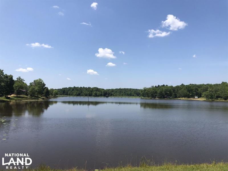 Lake Property with Cabin Sites : Duck Hill : Montgomery County : Mississippi