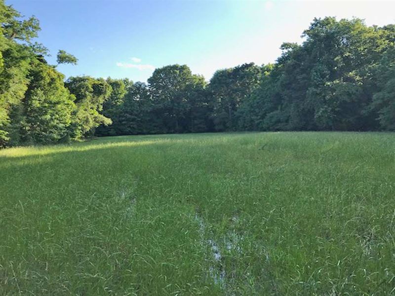 Carlton River Tract : Jackson : Clarke County : Alabama