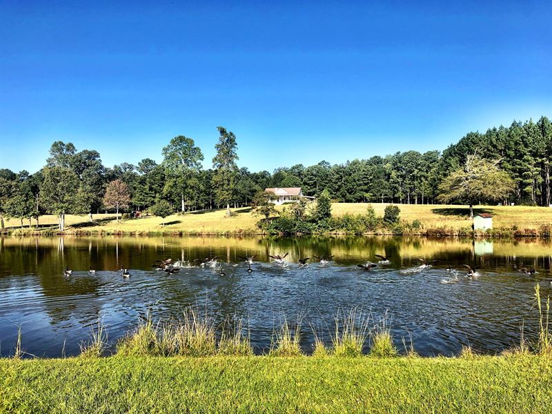 775 Acres in Harris County, Ranch for Sale in 202503 RANCHFLIP