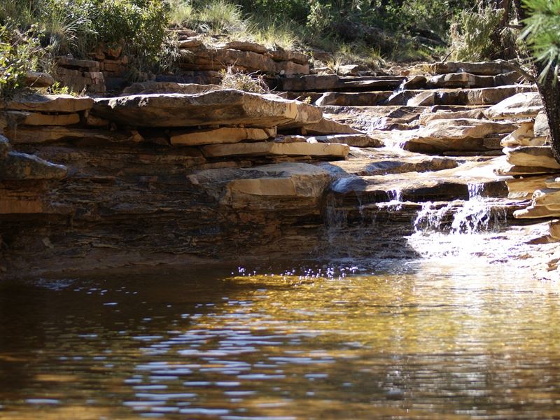 Ranch for Sale in Southeastern NM, Ranch for Sale in New Mexico