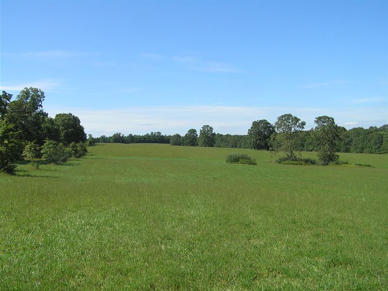 Farm, Lakes, Pasture, Barn, Views : Pikeville : Bledsoe County : Tennessee
