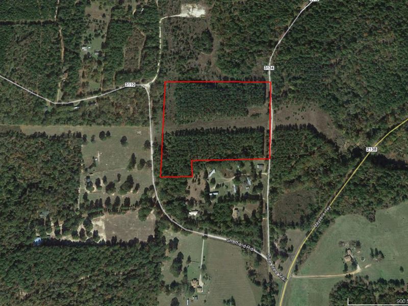 Nice Wooded Tract Close To Lake : Jacksonville : Smith County : Texas