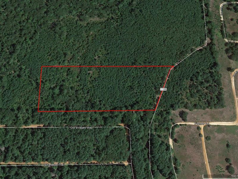 Great Tract Close To Tyler : Noonday : Smith County : Texas