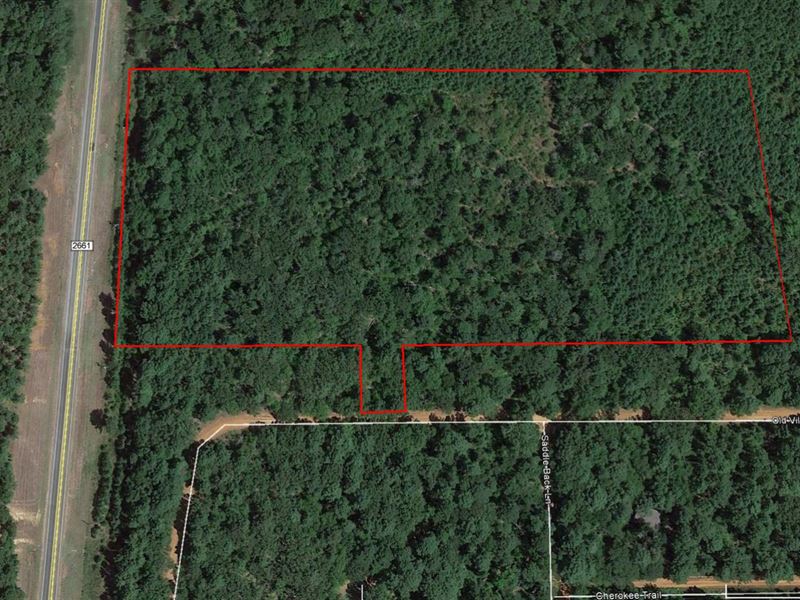 Great Tract Close To Tyler : Noonday : Smith County : Texas