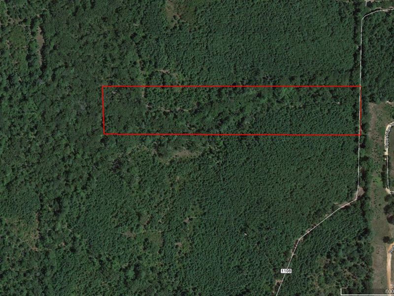 Great 10 Ac Tract in Flint, TX : Noonday : Smith County : Texas