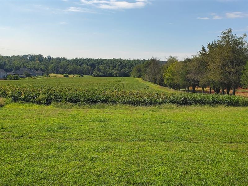 65 Acres, Midway Rd Statesvill : Statesville : Iredell County : North Carolina