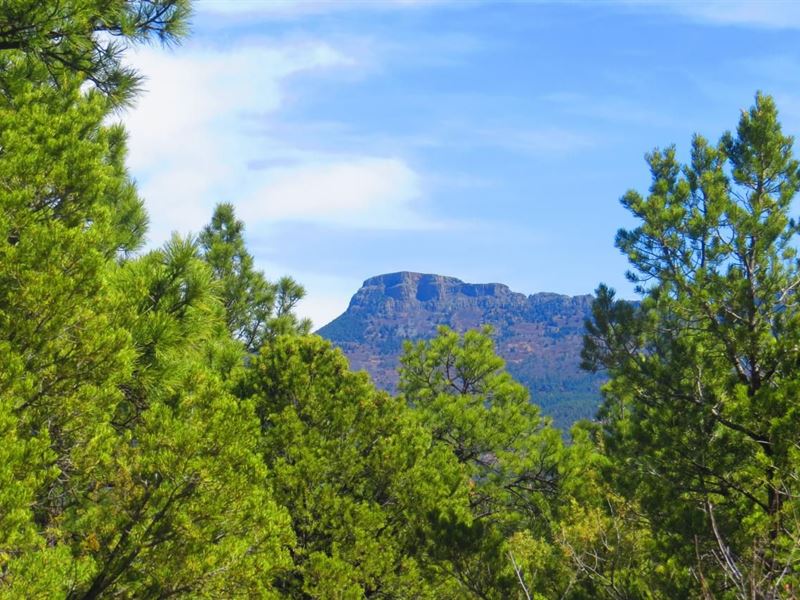 B78 Santa Fe Trail Ranch : Trinidad : Las Animas County : Colorado