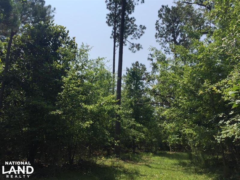 White Oak Mixed Use Tract Near Lake : Summerton : Clarendon County : South Carolina