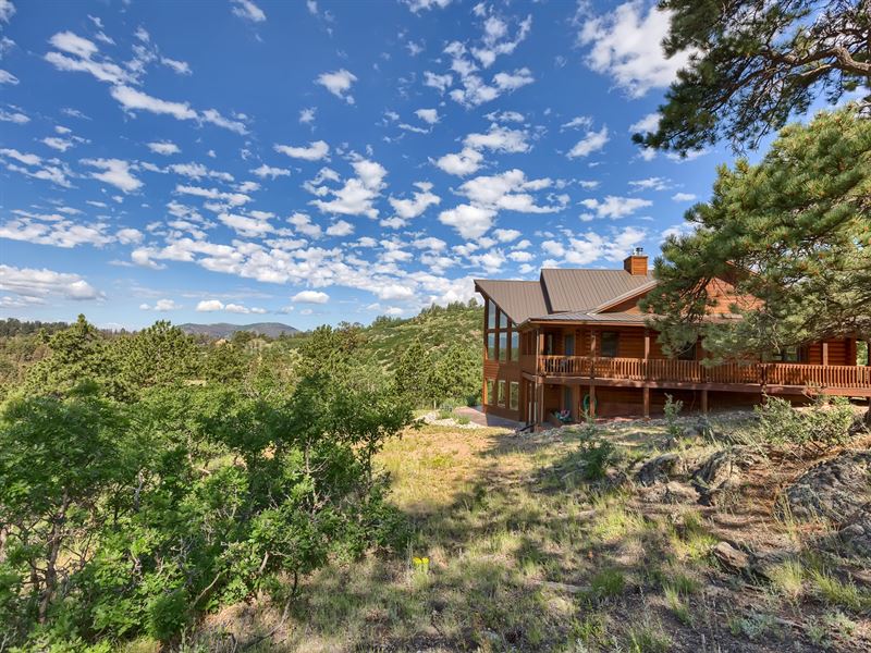 Little Mack Creek : Guffey : Park County : Colorado
