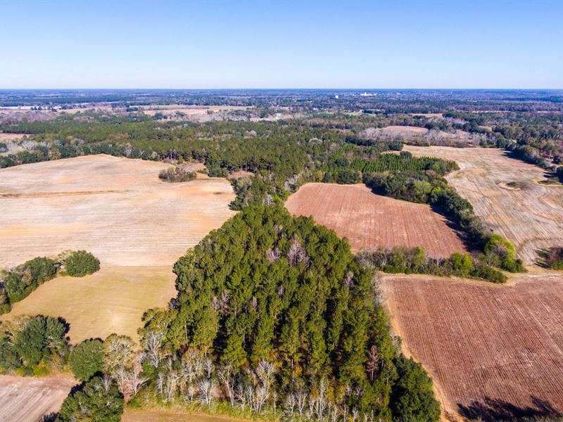 140 +/-Acres Farmland and Timber : Blakely : Early County : Georgia