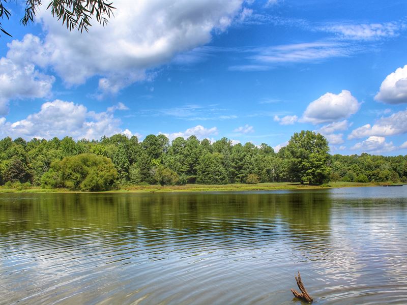 Calhoun Falls Big Lake Tract Ranch for Sale in Calhoun Falls, Abbeville County, South Carolina