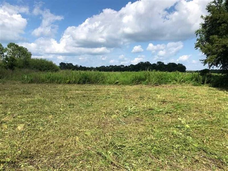 35 Acres of Cropland/Residentia : Greenville : Washington County : Mississippi