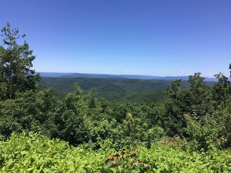 Large Acreage Property Pilot VA : Pilot : Montgomery County : Virginia